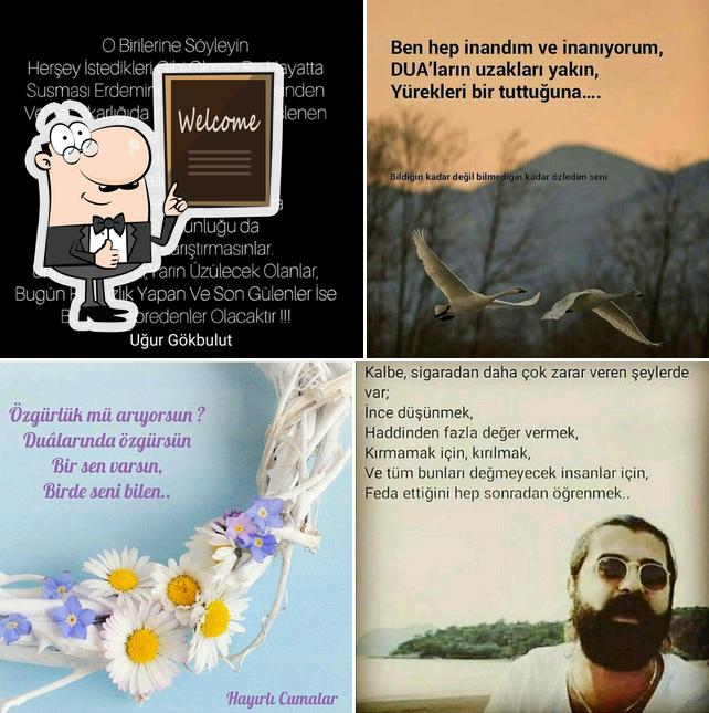 Engin Tekel