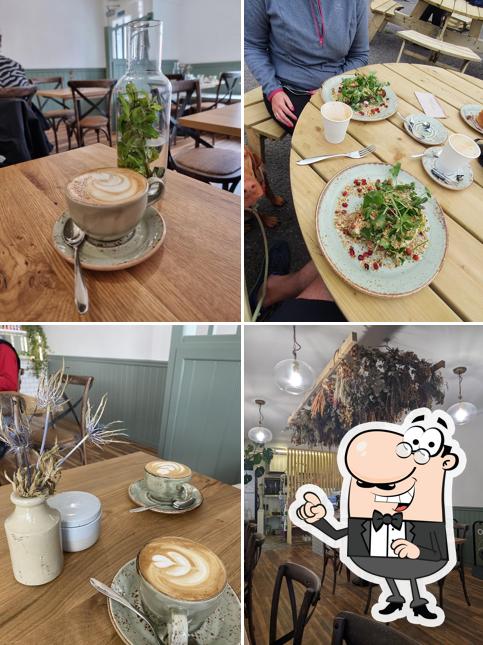 Cult Cafe