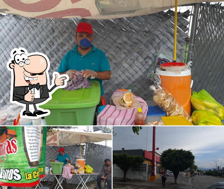 Las guacamayas Los Loros
