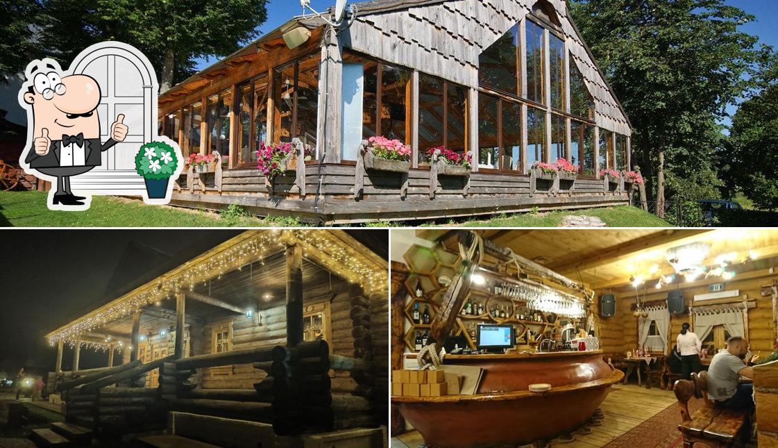 Снимок, на котором видны внешнее оформление и барная стойка в Улей