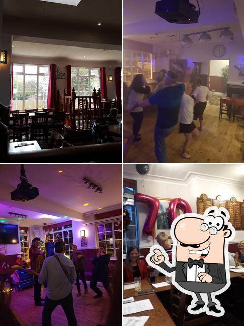 The Harps Inn