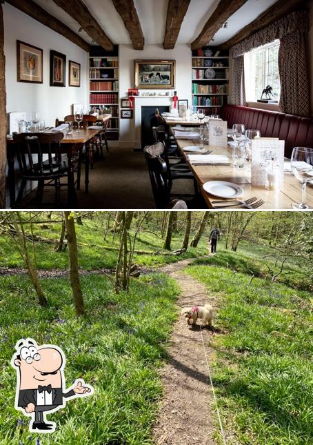 The Dorset Arms