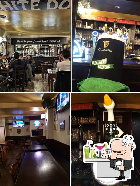 Pub White Dog