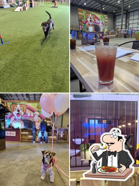 Sally's Play Centre