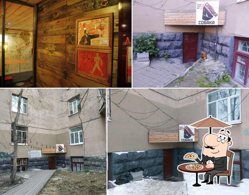 Крафт-бар Спящая собака