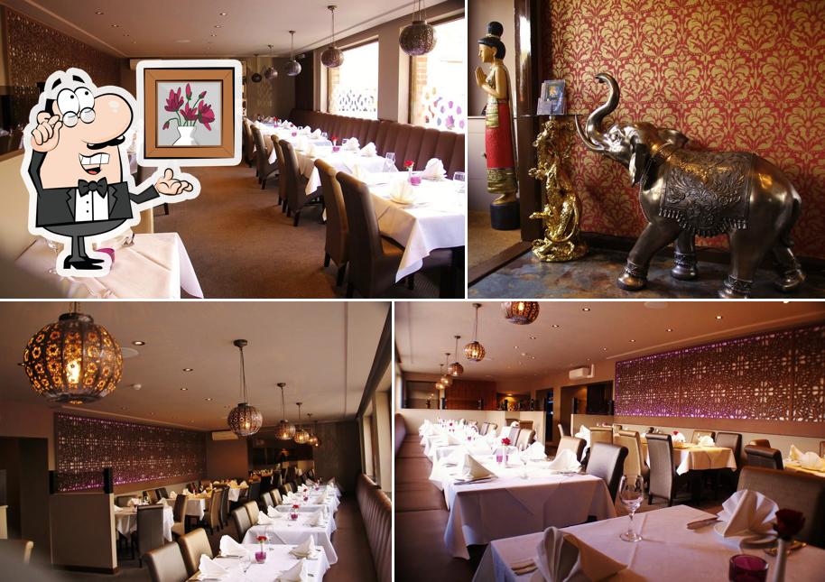 Indian Royal Arundel