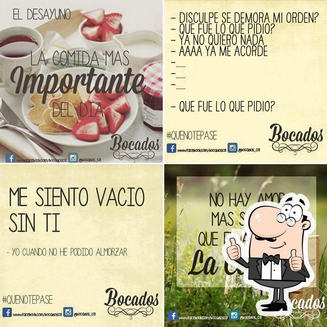 Bocados Comida Gourmet