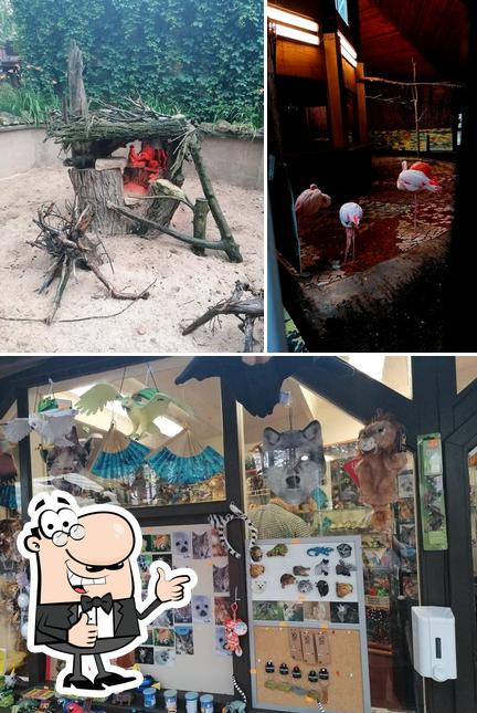 Flamingo kafejnīca, zoodārzs