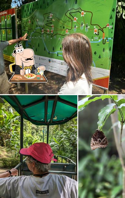 Rainforest Adventures Jaco