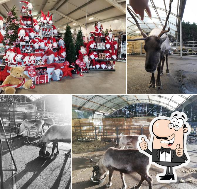 Kirktown Garden Centre