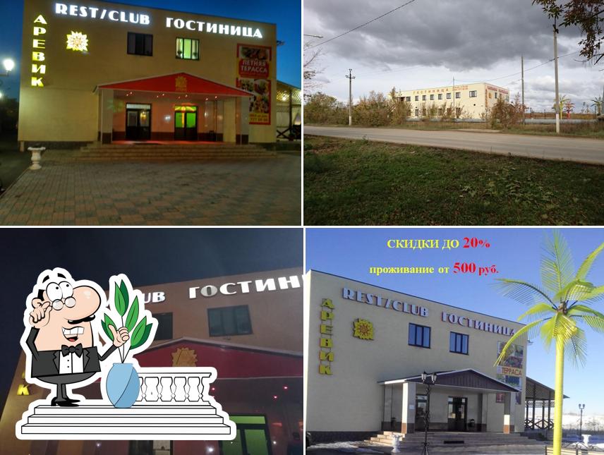 Аревик