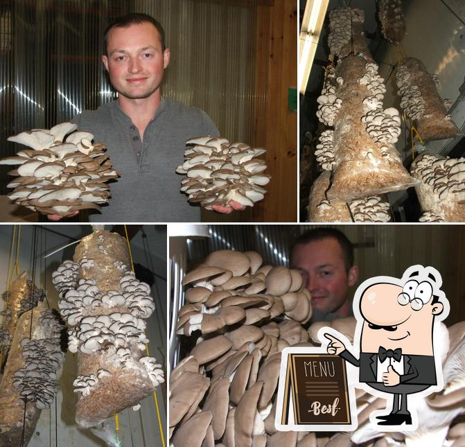 CMC Mushrooms