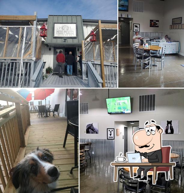 Hog Molly Brewing