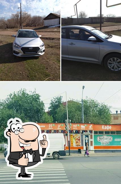 Степная улитка