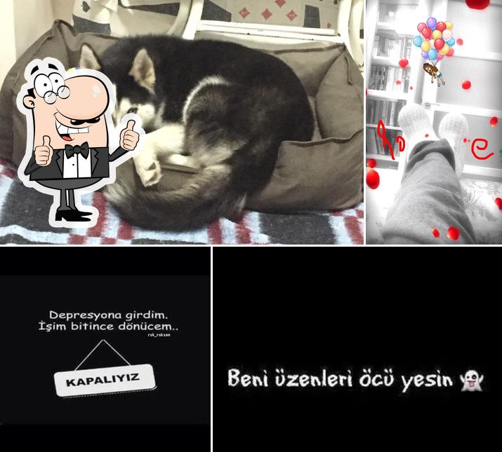 NüP