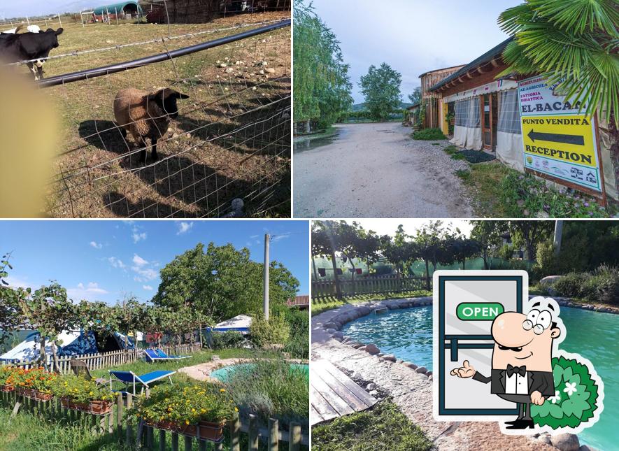 Agri-Campeggio EL-Bacan