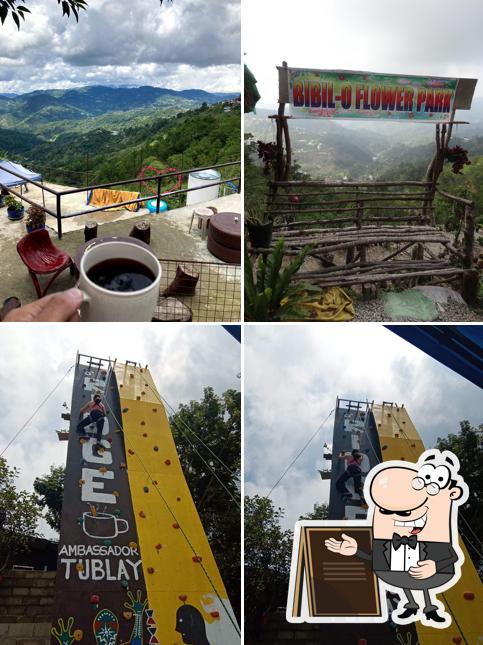 D' Ridge