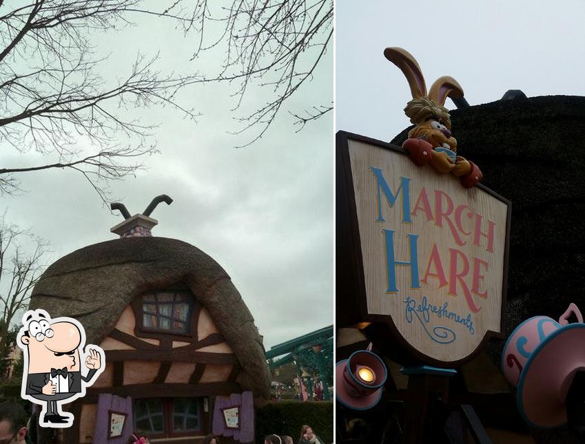 March Hare Refreshments