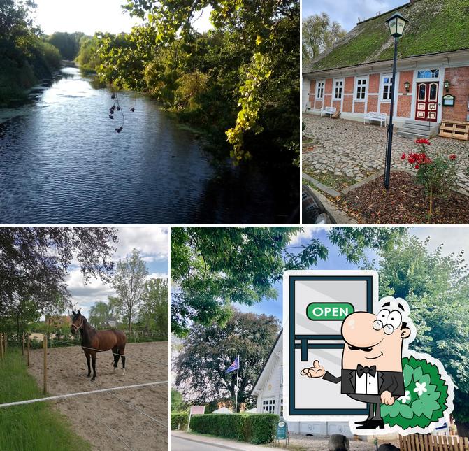 Alte Deichkate