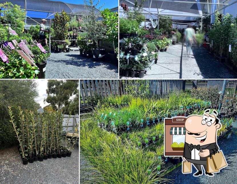 Echuca Moama Plant Farm