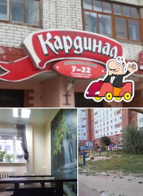 Кардинал