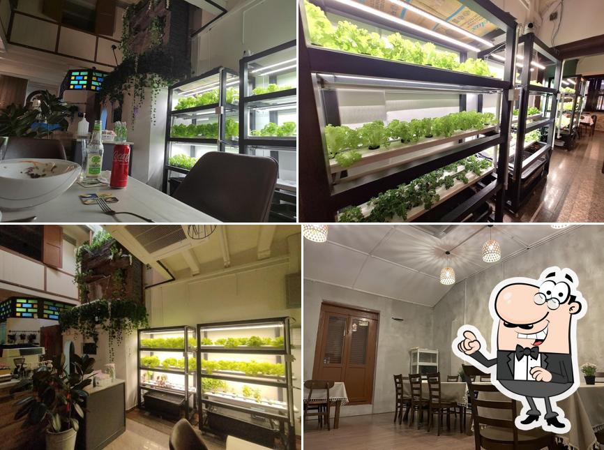 7 Green Restaurant Cafe