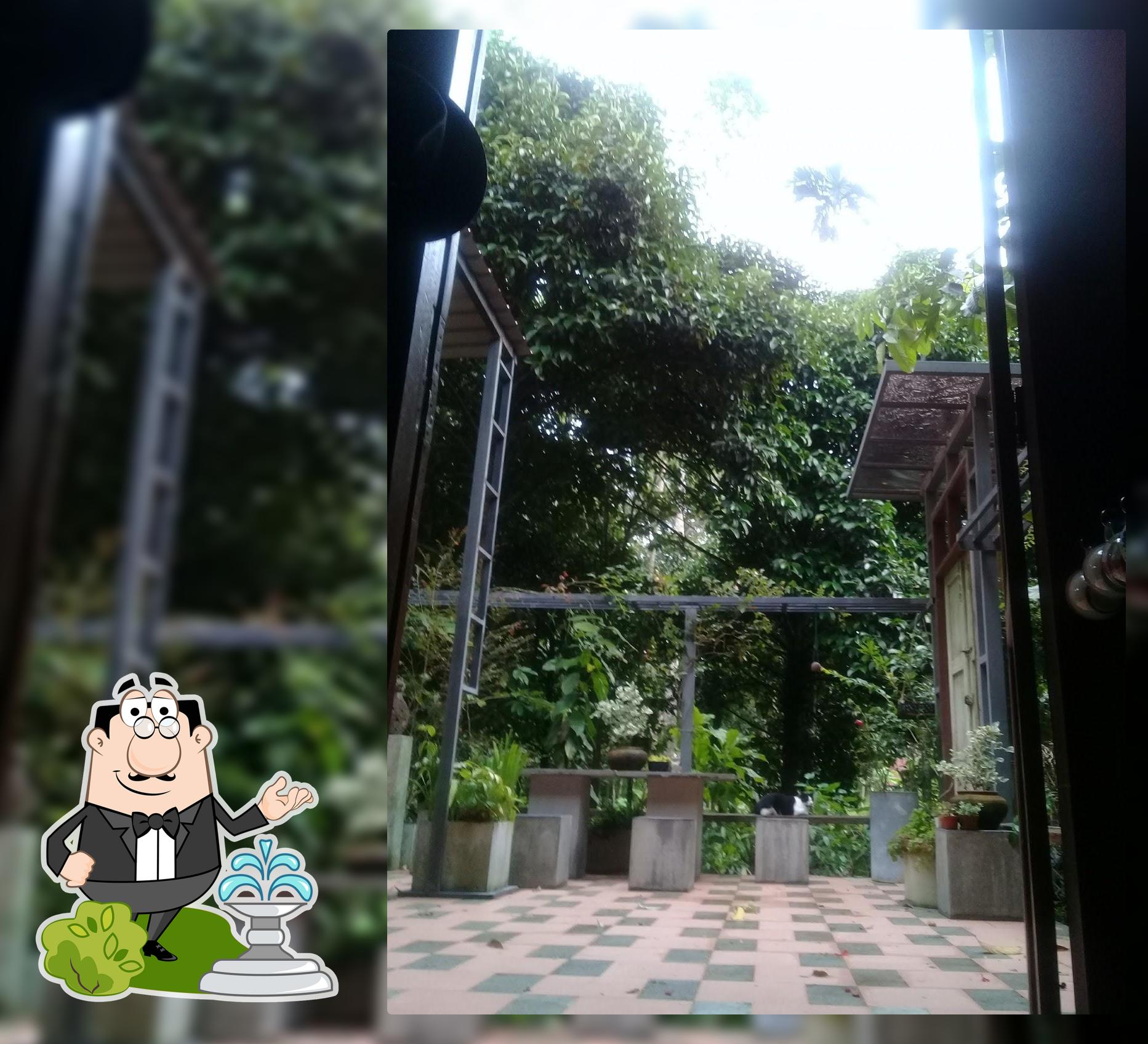 บ้านป่าฝน