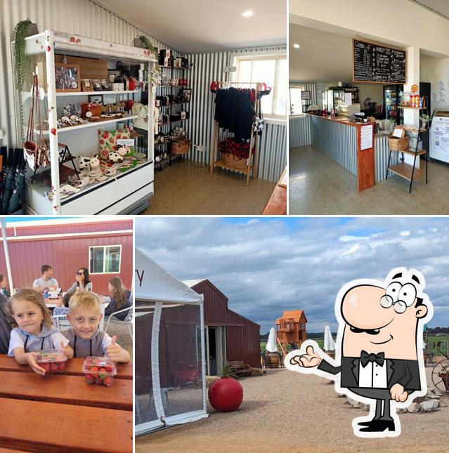 The Berry Dairy