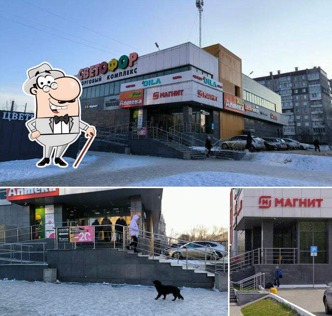Магнит