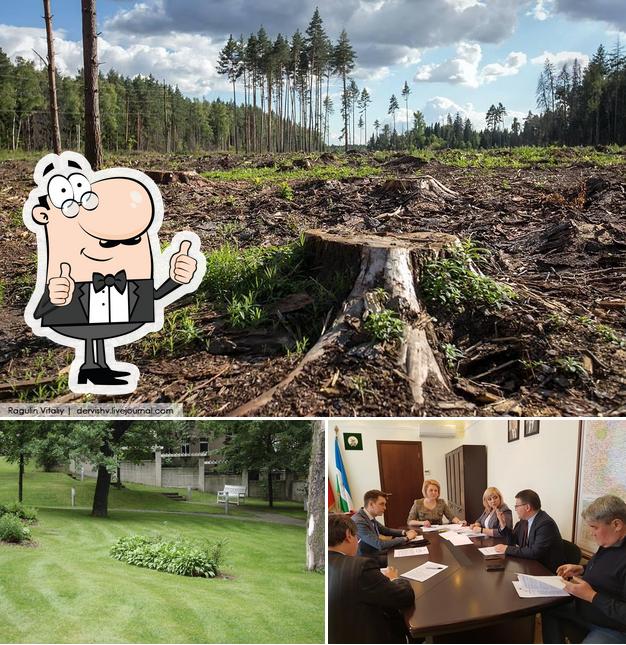 Столовая Правительства Республики Башкортостан