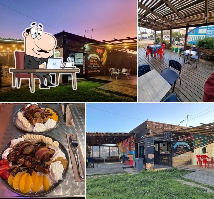 Robinfood Pichilemu