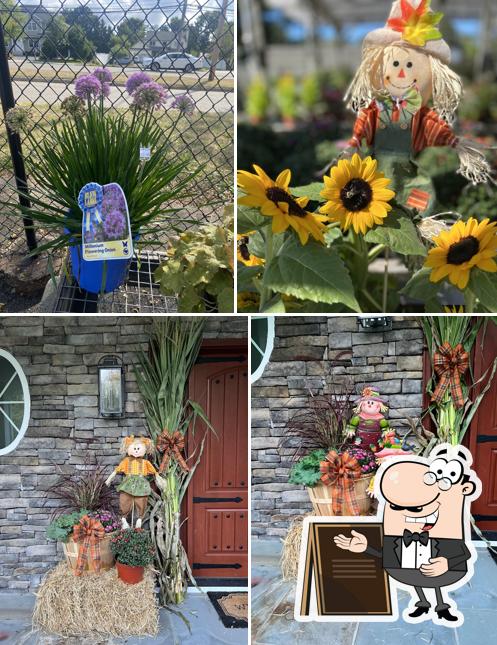 Seasonal ‘Scapes Florist & Garden Center
