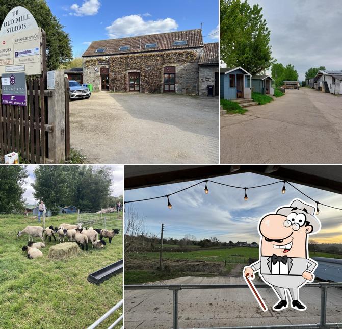 The Bath Soft Cheese Café & Shop