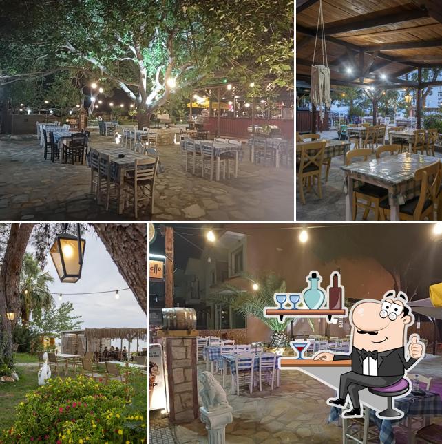 Oasis Grill Restaurant