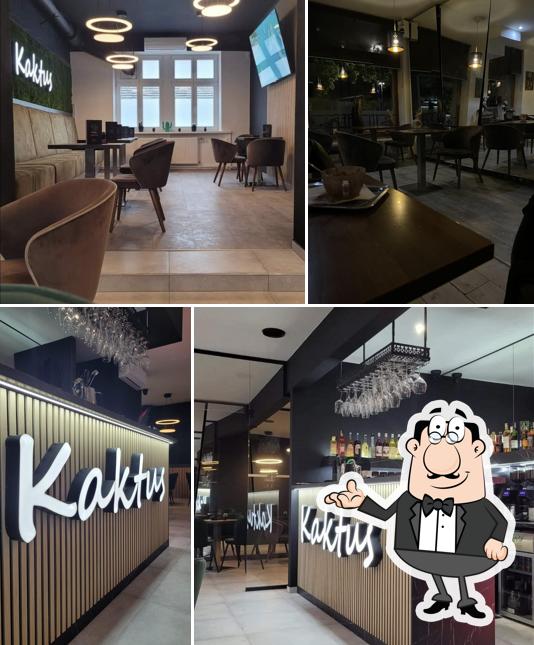 Kaktus