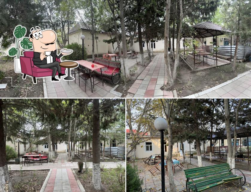 Azadın çayçısı