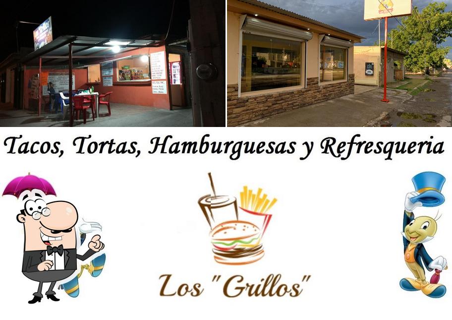 Los Grillos
