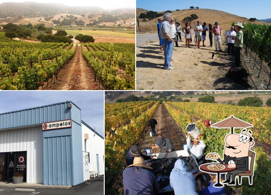 Ampelos Cellars