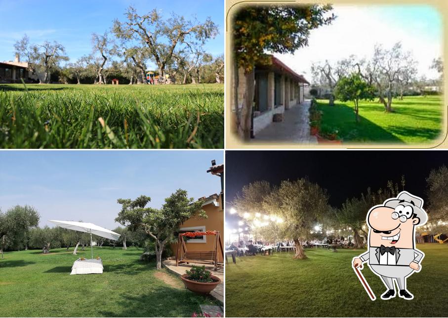 Farmhouse Il Petraro