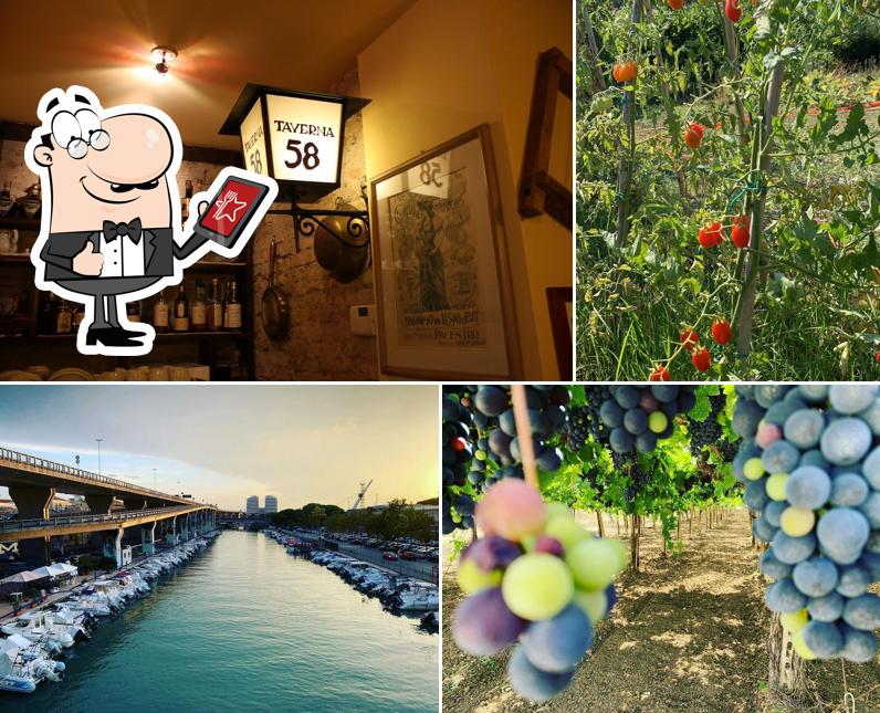 Taverna 58