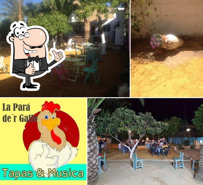 La Pará De'r Gallo El Rubio