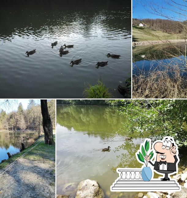 Gostilna RIBNIK Damjan Golob s.p.