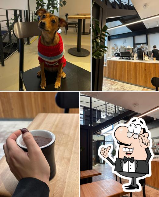 Забронируйте столик в "Bloom-n-Brew Baum"