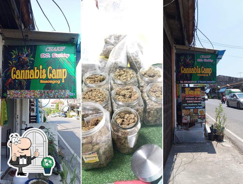 Cannabis Camp Ranong og (BD SHOP)ร้านกัญชา