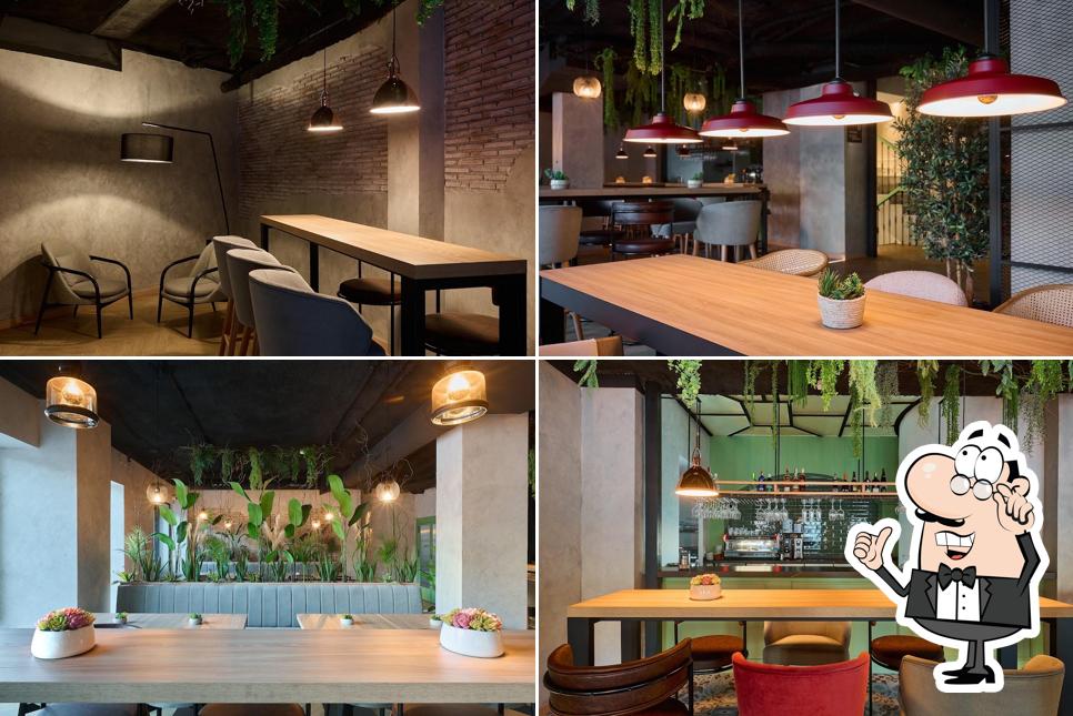 Gastrobar Rincón de Don Vicente Triunfo