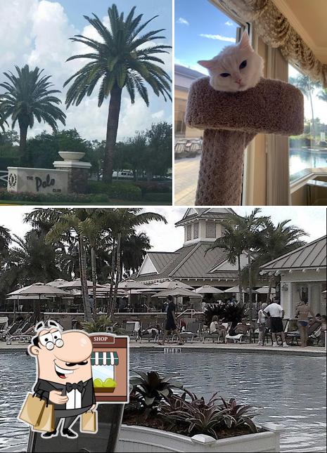 Polo Club of Boca Raton