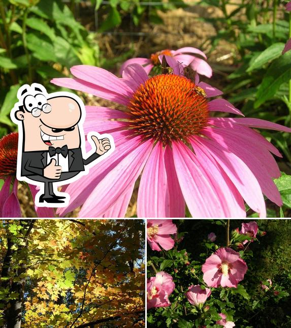 L&B Gardens