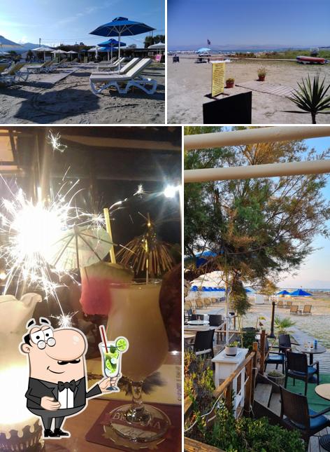 Harbour Snack Bar