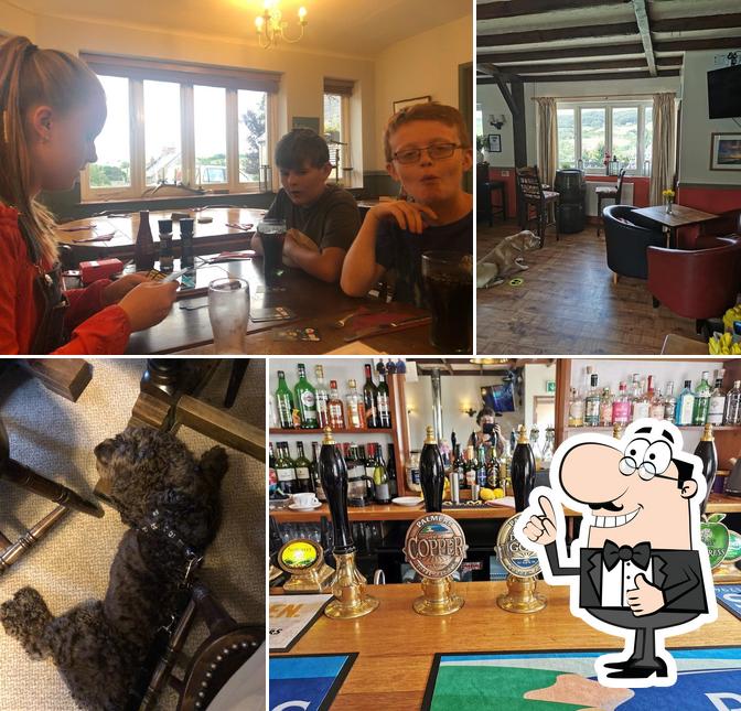 The New Inn