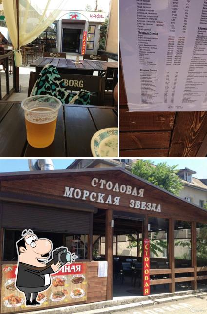 Морская звезда